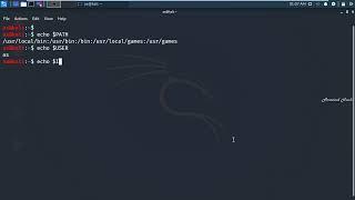 Bash Variables on kali linux with Echo Functions