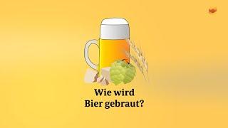 Kurz erklärt Wie wird Bier gebraut?