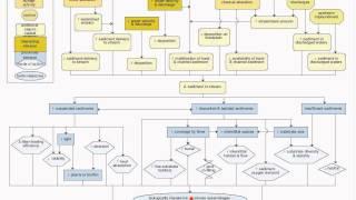 Causal Analysis of California Biologically Impaired Waters