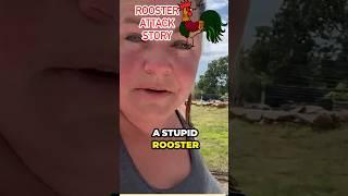 Rooster Attack He attacked Me #shorts #attack #animal #chicken #Farm