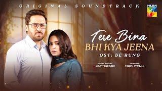 Tere Bina Bhi Kya Jeena - Be Rung OST ₊˚.⋆  Singer  Wajhi Farooki  - HUM TV