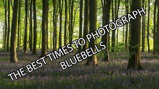 THE BEST TIMES TO PHOTOGRAPH BLUEBELLS