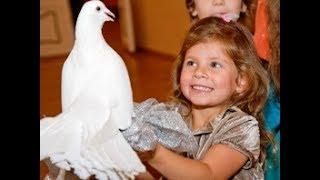 Шоу с голубями на детский праздник Днепропетровск