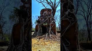 Ancient Jungle Temple in Koh Ker  Cambodia