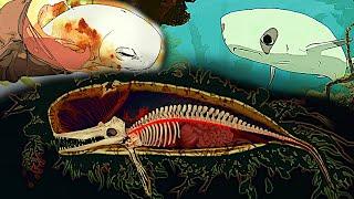 Sad Documentary About A Baby Whale In A Deadly Alien Sea - South Scrimshaw