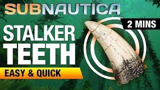 How to get Stalker Teeth  SUBNAUTICA