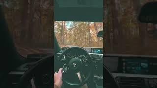 BMW 440i POV Through the Golden Forest  #bmw #cars #shorts