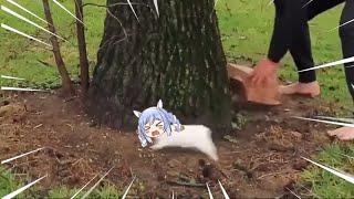 Pekora rabbit escaping  Animal hololive