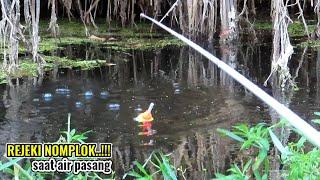 Nasib baik masih berpihak air banjir pemancing panen raya