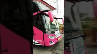 prank ⁉️ Basurinya eror #busmania #basuriv3 #telolet #basuri