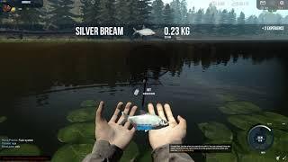 Professional fishing Review Free Steam Game