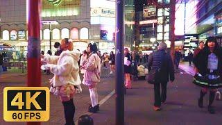 Night Walk in Kabukicho Shinjuku Tokyos Red Light District  Japans Nightlife  Japan Walk 4K