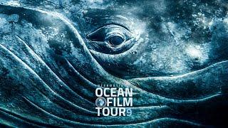 International OCEAN FILM TOUR Volume 9  Official Trailer