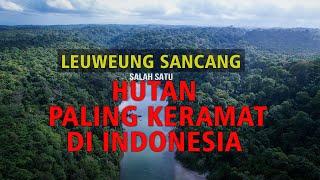 LEUWEUNG SANCANG HUTAN PALING ANGKER Tapi Menyimpan Keindahan Yang Luar Biasa #AdrasaID #Sancang