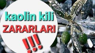 Kaolin Kili Nedir ve Neden Uygulanır?    Gölge Tozu Ne İşe Yarar? #tropikaltopraktv #kaolinkili