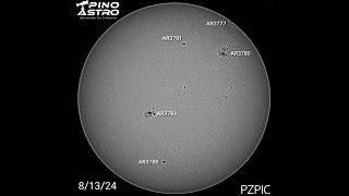 Daily Sunspots August 13 2024 B&W 81324 #sun #solar #sunspots #seestar #SolarObservation