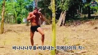 나무를 박살내는 무에타이 킥  feat.바나나나무