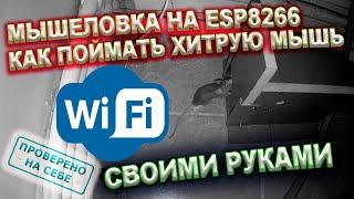 Гуманная мышеловка c wi-fi или как я ловил хитрую мышь