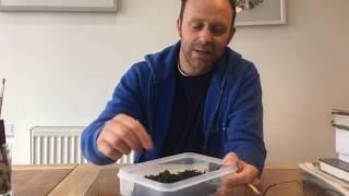 How to press seaweeds