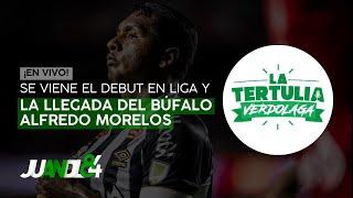 La Tertulia Verdolaga Se acerca el inicio de la Liga para Atlético Nacional  Juandl84