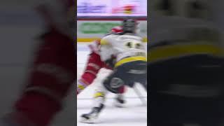 HOCKEY GOAL OF THE YEAR - SHL 2324 #hockey #sports #viral