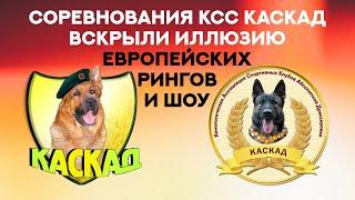 История соревнований КСС КАСКАД. Что будет если проснётся ДОСААФ? KSS KASKAD competition.