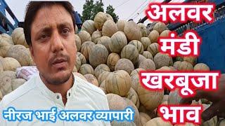 kharbuja ka Bhav Aaj Alwar Mandi Rajasthan आज का अलवर मंडी खरबूजा भावMuskmelon Price Today India