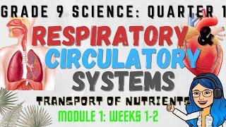 Respiratory and Circulatory Systems  Grade 9 Science Quarter 1 Lesson