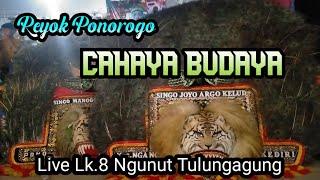 Reyog Ponorogo CAHAYA  BUDAYA Live Lk 8 Ngunut Tulungagung