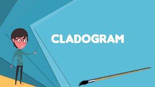 What is Cladogram? Explain Cladogram Define Cladogram Meaning of Cladogram