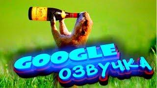 СМЕШНАЯ GOOGLE ОЗВУЧКА. Я ПЛАКАЛ ОТ СМЕХА. ВИДЕО ПРИКОЛ КОТЫ ПОСЫЛАЮТ ДРУГ ДРУГА РОБОТЫ 2019