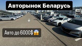 АВТОРЫНОК Беларусь АВТО до 6000$ цены КОНЬ