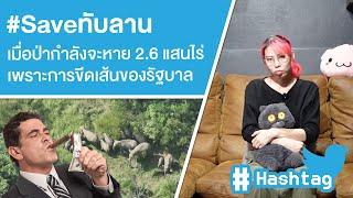 #Saveทับลาน เมื่อป่ากำลังจะหาย 2.6 แสนไร่เพราะการขีดเส้นของรัฐบาล Ep.572