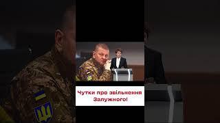  Чи звільняв Зеленський Залужного? Останні новини