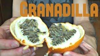 Granadilla Review - Weird Fruit Explorer Ep. 34