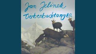 Tierbeobachtung