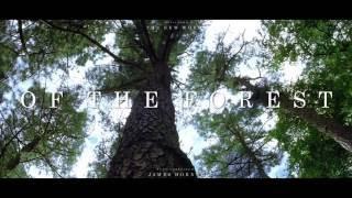 The New World Soundtrack - Of the Forest