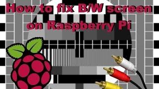 How to fix black and white screen on Raspberry Pi