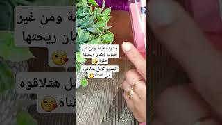 غسول نيتروجينا الجريب فروت الوردي #shortsvideo #البشرة_الدهنية #حب_الشباب #shorts