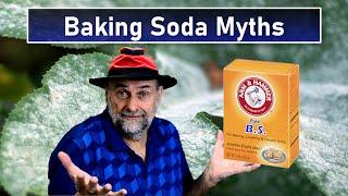 11 Baking Soda Hacks for the Garden - Do They Work?