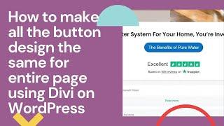 How do I make Divi buttons the same size style color in Entire Website? in WordPress