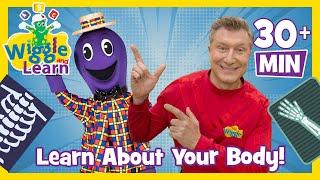 Learn About Your Body  Wiggle and Learn  Educational Video for Toddlers with The Wiggles