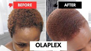 I tried to repair my color treated hair with OLAPLEX SYSTEM unexpected results