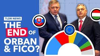 EU Elections Why did Orban and Fico Underperform?