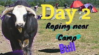 Day 2 Roping wild cattle Camping trip