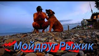 ▶️ МОЙ ДРУГ РЫЖИК - ДЖАН  ЯЛТА - 2024