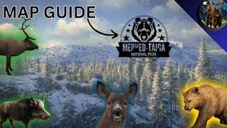 Medved-Taiga komplett Guide  The Hunter COTW