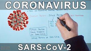 Coronavirus  SARS CoV-2