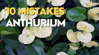 10 MISTAKES Growing Anthuriums  Flamingo Flower Care Tips