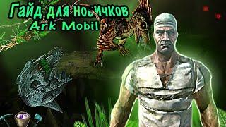 Гайд для новичков Ark Mobile бальзам как добыть рессурсы как фармить с багом на трубу